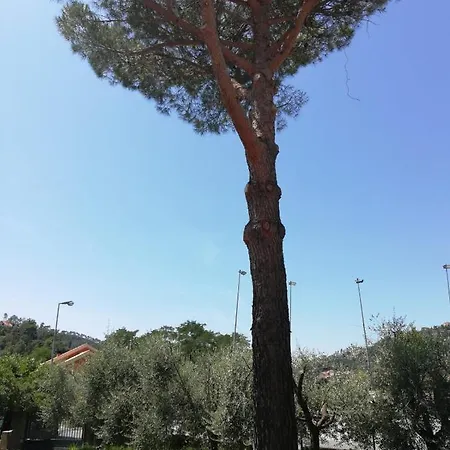 Ca Du Angiulin 3* Casarza Ligure